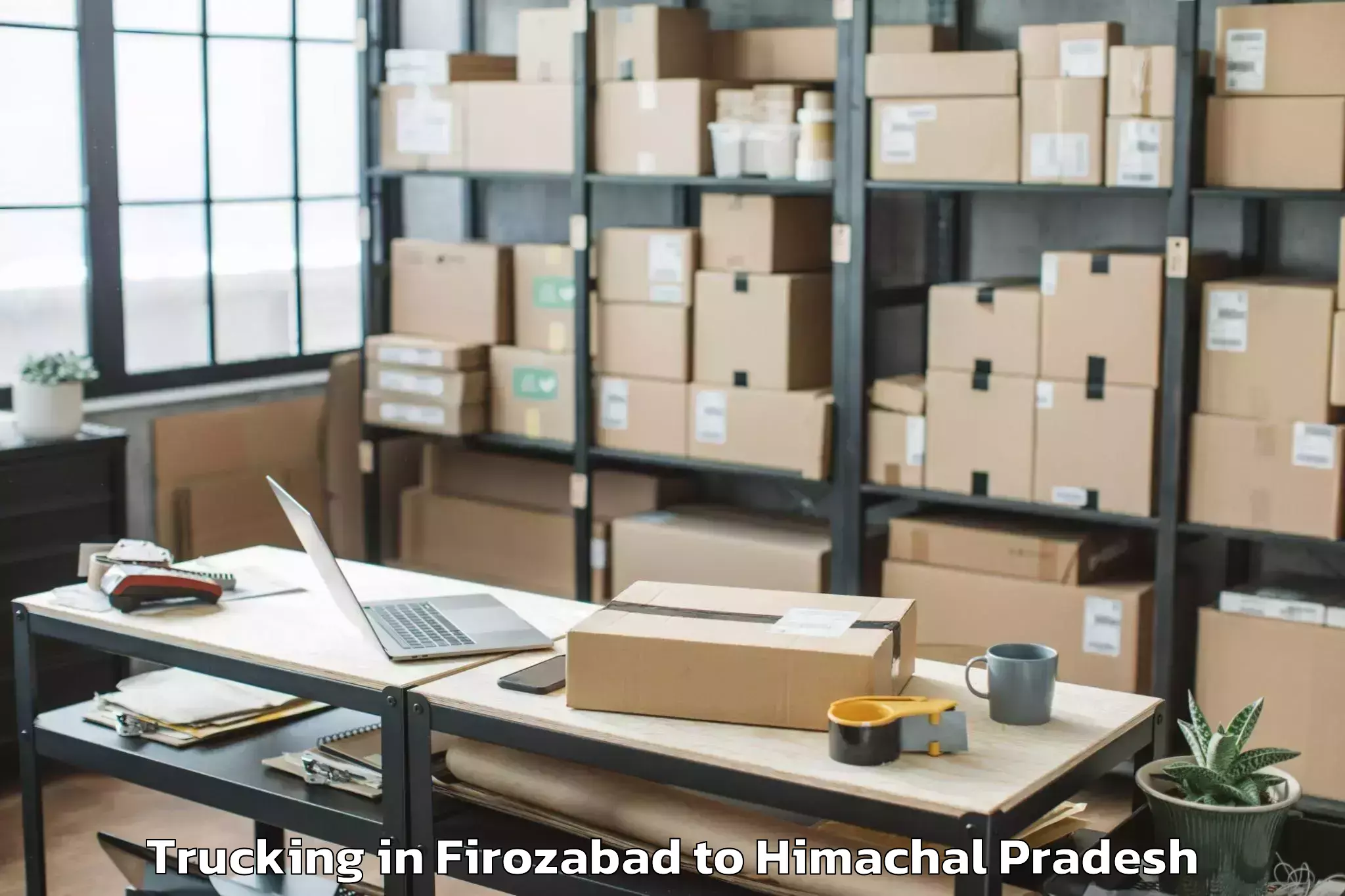 Hassle-Free Firozabad to Kyelang Trucking